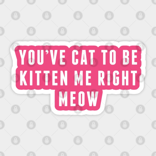 Kitten Me Right Meow - Cat Kitten Kitty Meow Sticker by sillyslogans